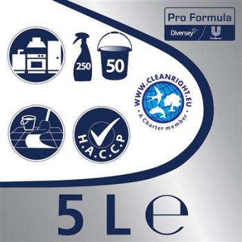 Cif ProFormula Professional Power Fettlöser 5L