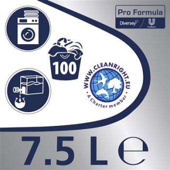 Omo ProFormula Active Waschmittel