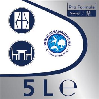 Cif ProFormula Professional Fenster- & Oberflächenreiniger 5L