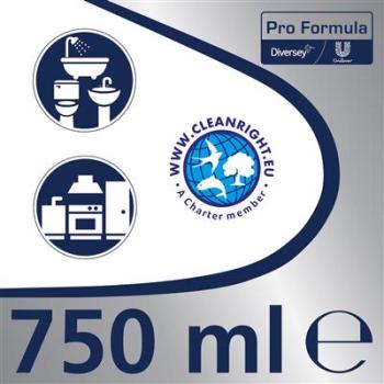 Domestos ProFormula Professional Fugenreiniger 0.75L